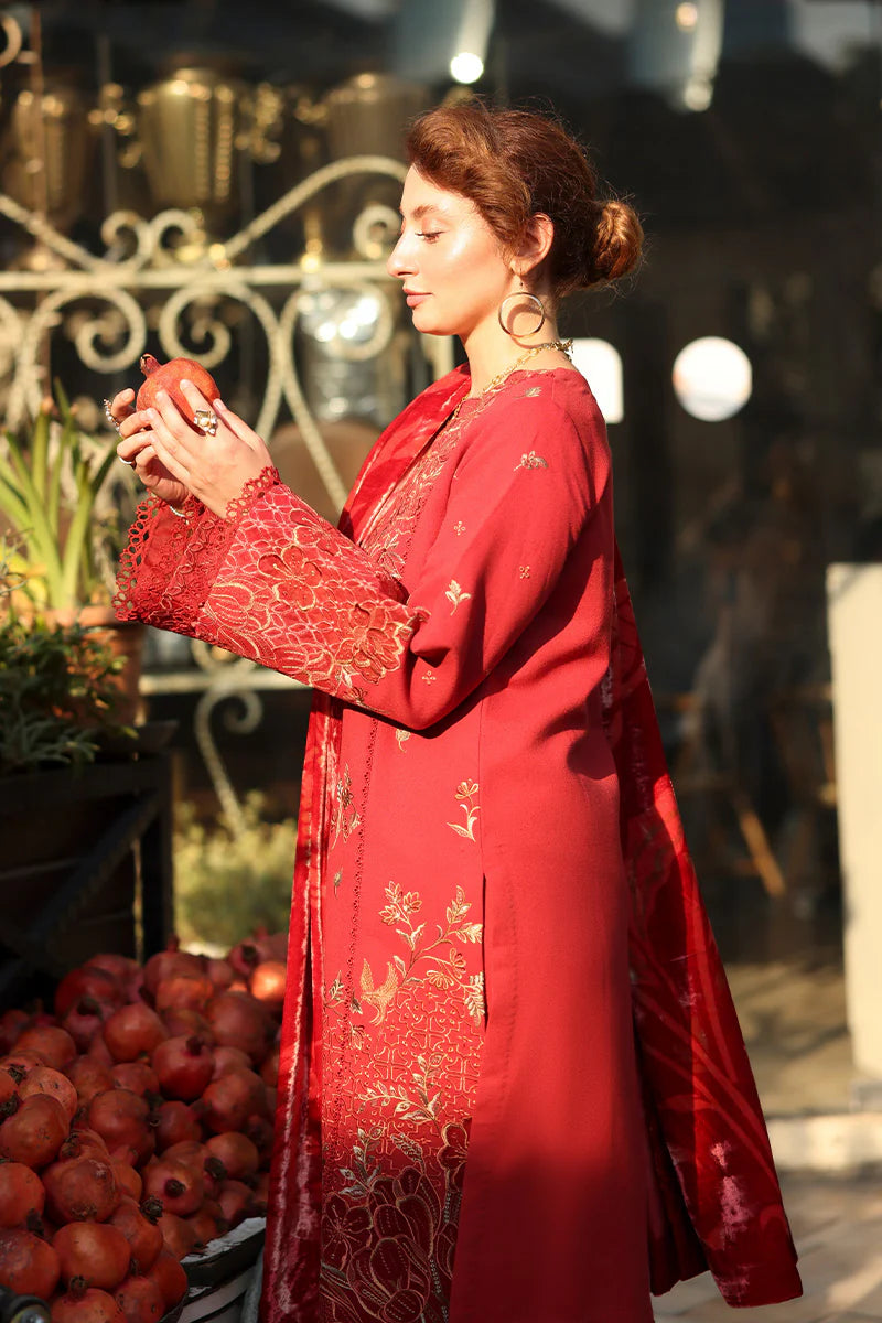 Rang Rasiya Carnation 3Pc Embroidered Karandi Suit D-02 Cold Brew