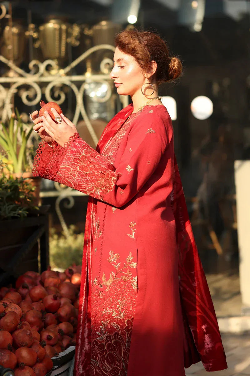 Rang Rasiya Carnation 3Pc Embroidered Karandi Suit D-02 Cold Brew - Al-Zafar Fabrics