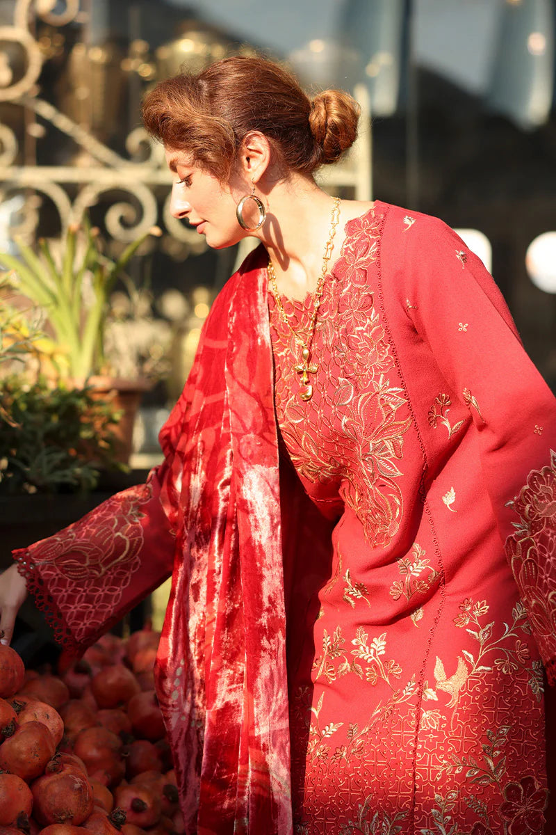 Rang Rasiya Carnation 3Pc Embroidered Karandi Suit D-02 Cold Brew