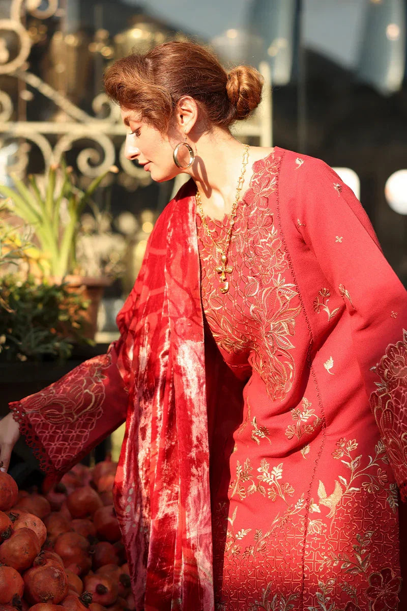 Rang Rasiya Carnation 3Pc Embroidered Karandi Suit D-02 Cold Brew - Al-Zafar Fabrics