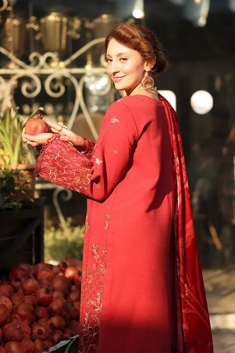 Rang Rasiya Carnation 3Pc Embroidered Karandi Suit D-02 Cold Brew - Al-Zafar Fabrics