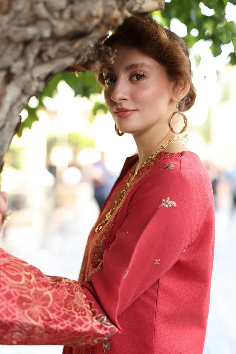 Rang Rasiya Carnation 3Pc Embroidered Karandi Suit D-02 Cold Brew - Al-Zafar Fabrics
