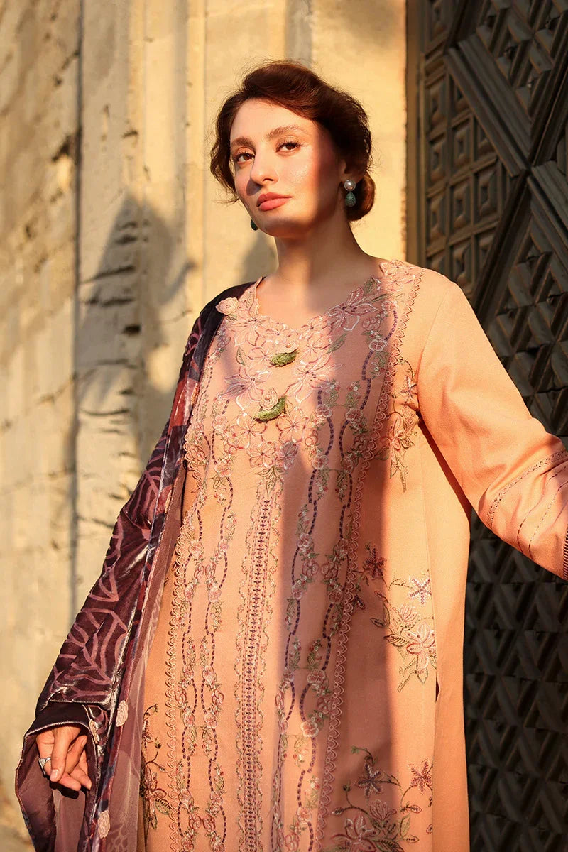 Rang Rasiya Carnation 3Pc Embroidered Karandi Suit D-03 Latte - Al-Zafar Fabrics