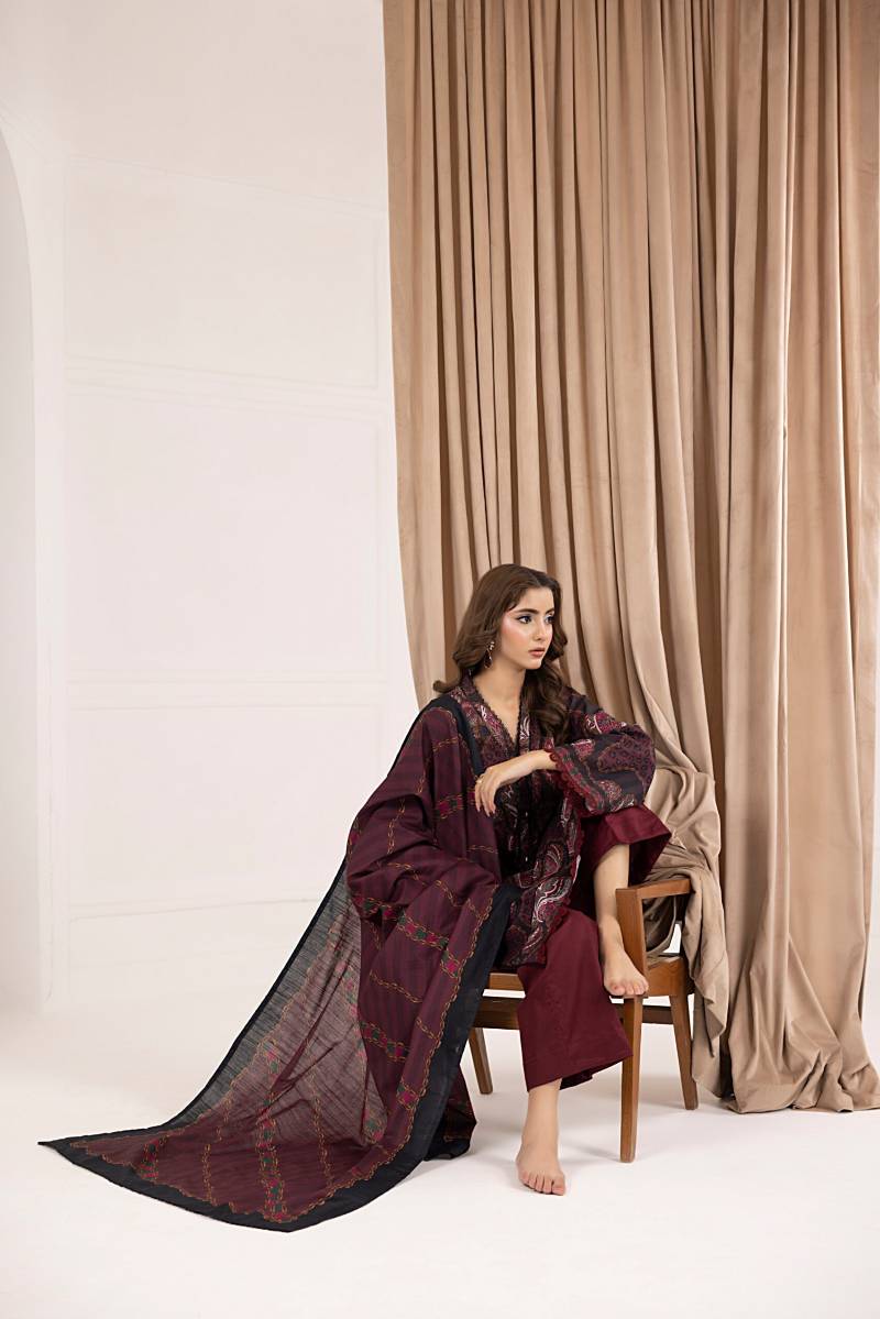 Salina Printed Khaddar Chapter 6 Unstitched 3pc suit SPKV6-2 - Al-Zafar Fabrics