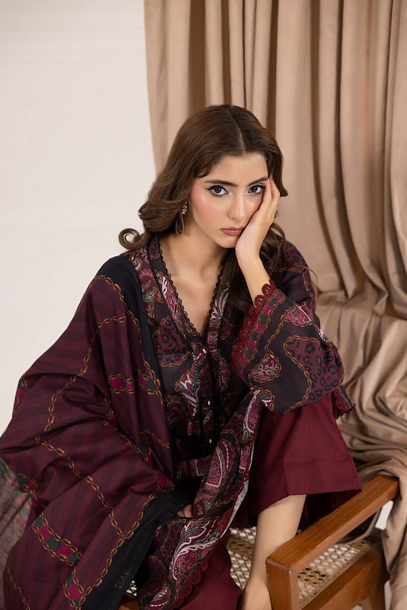 Salina Printed Khaddar Chapter 6 Unstitched 3pc suit SPKV6-2 - Al-Zafar Fabrics