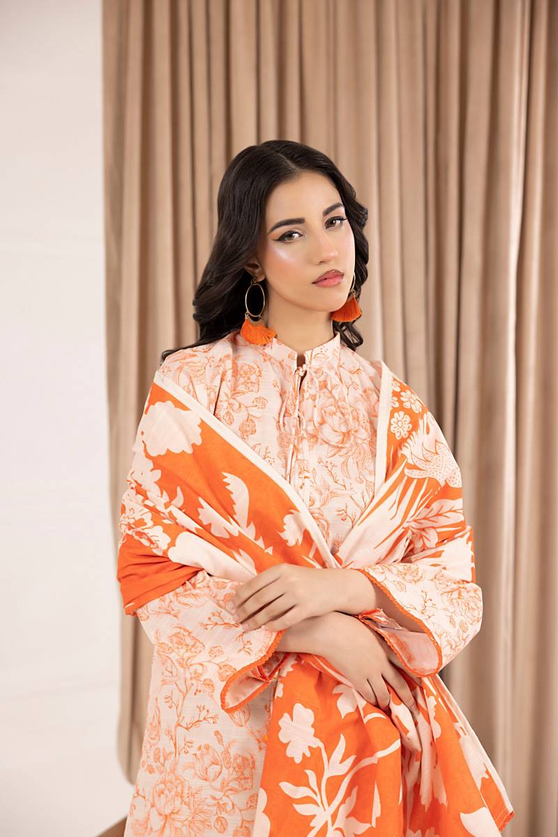 Salina Printed Khaddar Chapter 6 Unstitched 3pc suit SPKV6-4 - Al-Zafar Fabrics